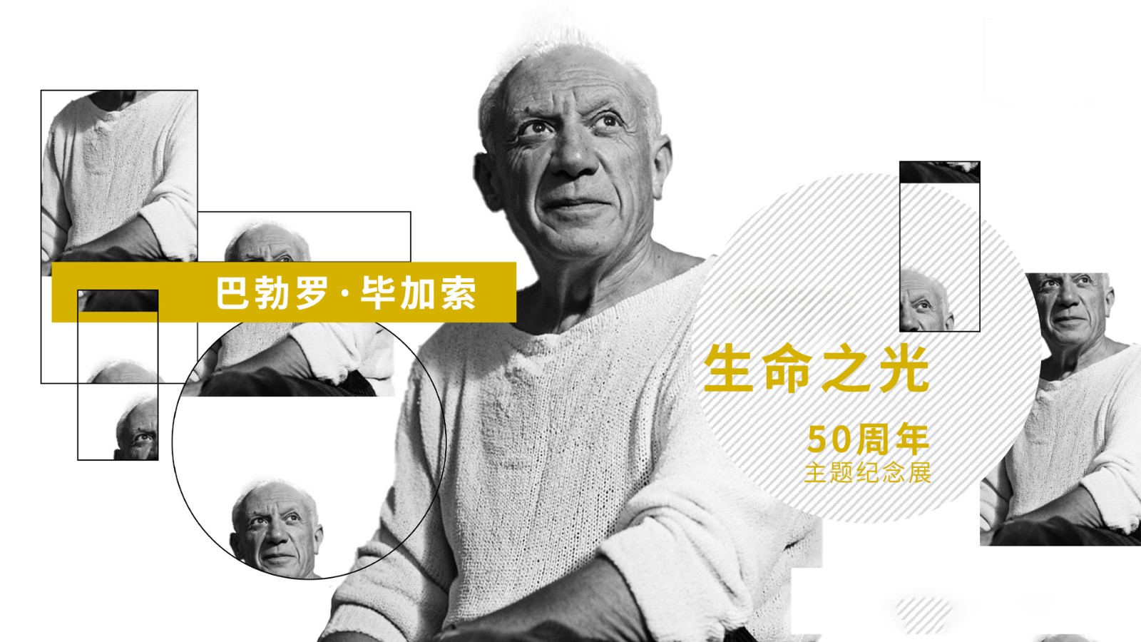 1728698029875255.jpg 毕加索轮播图.jpg